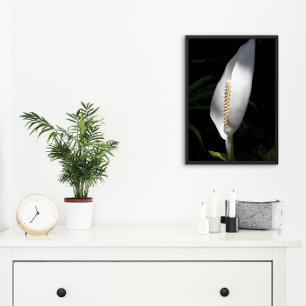 White Peace Lily Plant Floral Foto Afdruk