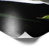 White Peace Lily Plant Floral Foto Afdruk (Hoek)