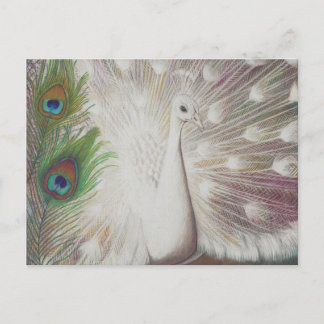 White Peacock and Green Peacock Feather art Print Briefkaart