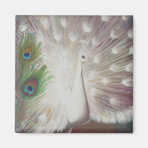 White Peacock and Green Peacock Feather art Print Magneet