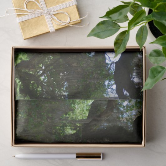 White Peacock Angel Oak Tree-papier Tissuepapier (Geschenk)