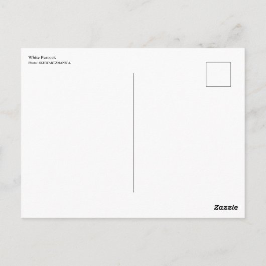 White Peacock Briefkaart (Achterkant)