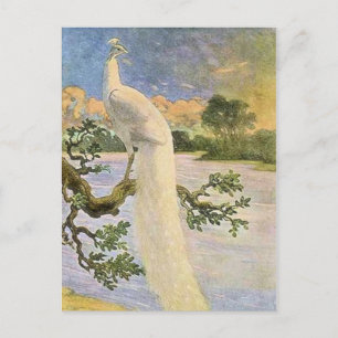 White Peacock Briefkaart