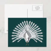 White Peacock Briefkaarten (Voorkant / Achterkant)
