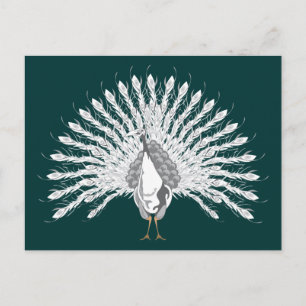 White Peacock Briefkaarten