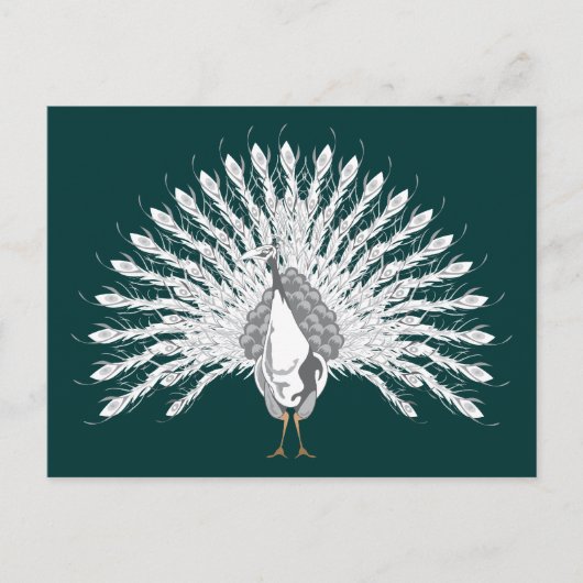 White Peacock Briefkaarten (Voorkant)