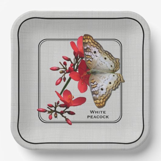 White Peacock Butterfly Close-up Photography Papieren Bordje (Voorkant)