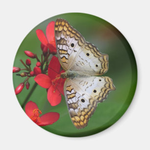 White Peacock Butterfly Floral Photography Magneet