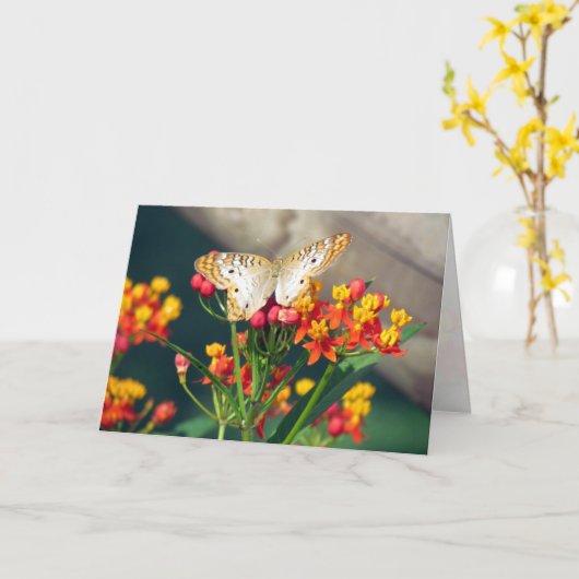 White Peacock Butterfly Wenskaart Kaart (Gele Bloem)