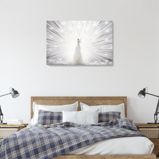 White Peacock Canvas Afdruk (Insitu (Slaapkamer))