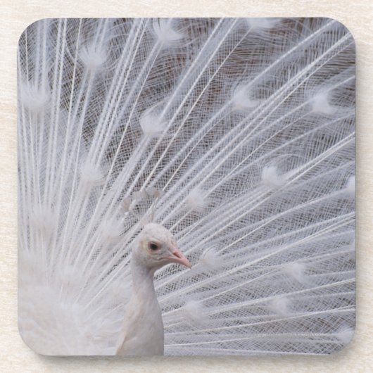 White Peacock Drankjes Onderzetter (Voorkant)