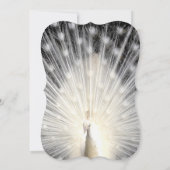 White Peacock Feathers Wedding Invitation Kaart (Achterkant)