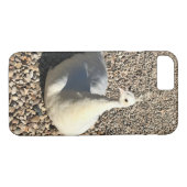 White Peacock, Idaho Case-Mate iPhone Case (Achterkant (Horizontaal))