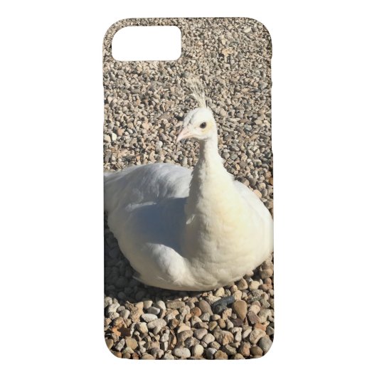 White Peacock, Idaho Case-Mate iPhone Case (Achterkant)