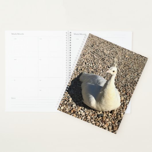 White Peacock, Idaho Planner (Display)