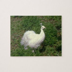 White Peacock Legpuzzel