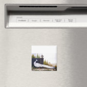 White Peacock Magneet (Insitu (Vaatwasser))