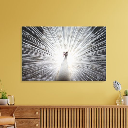 White Peacock met Feathers Fanned Canvas Afdruk (Insitu (Woonkamer))