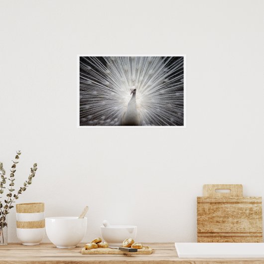 White Peacock met Feathers Fanned Out Poster (Keuken)