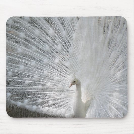 White Peacock Muismat (Voorkant)