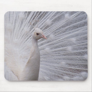 White Peacock Muismat
