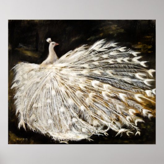 White Peacock Oil Painting Fine Art Poster (Voorkant)