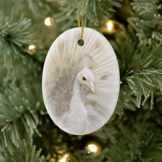 White Peacock Ornament (Boom)
