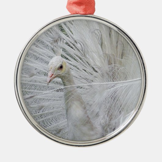 White Peacock Ornament (Voorkant)