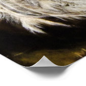 White Peacock Painting Poster (Hoek)