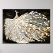 White Peacock Painting Poster (Voorkant)
