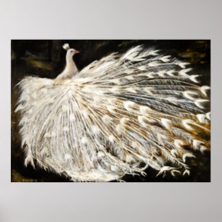 White Peacock Painting Poster