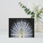 White Peacock Pavo Animalia Briefkaart (Staand voorkant)