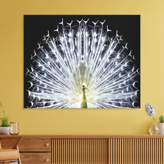 White Peacock Pavo Animalia Canvas Afdruk (Insitu (Woonkamer))