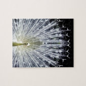 White Peacock Pavo Animalia Legpuzzel (Horizontaal)