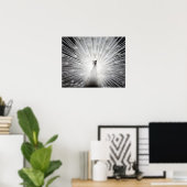 White Peacock Photography Poster (Thuiskantoor)