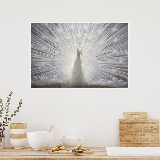 White Peacock Poster (Keuken)