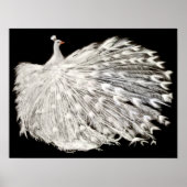 White Peacock Poster (Voorkant)