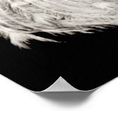 White Peacock Poster (Hoek)