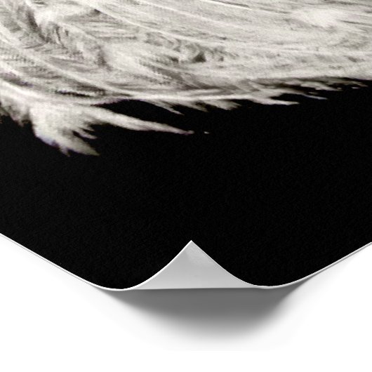 White Peacock Poster (Hoek)