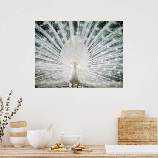 WHITE PEACOCK POSTER (Keuken)