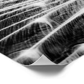 White Peacock Poster (Hoek)