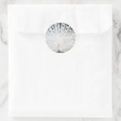White Peacock Ronde Sticker (Tas)
