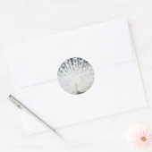 White Peacock Ronde Sticker (Envelop)