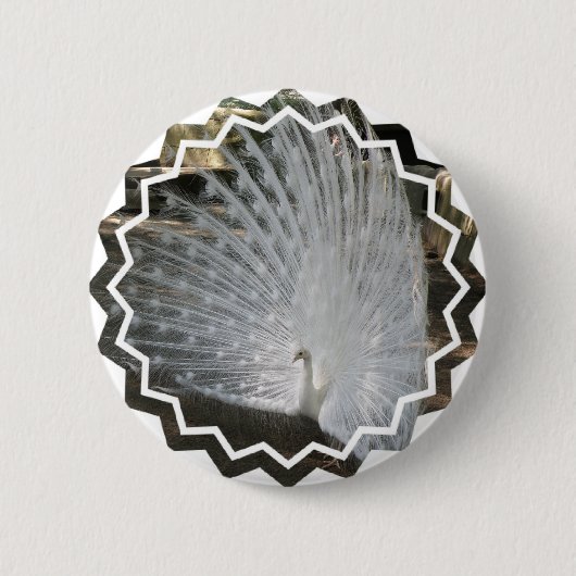 White Peacock Round Button (Voorkant)
