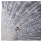 White Peacock Tegeltje (Voorkant)