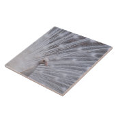 White Peacock Tegeltje (Zijkant)