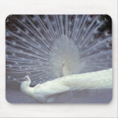 White Peacocks Mousepad Muismat (Voorkant)