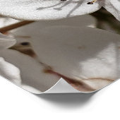 White Pear Blossom Photo Family Tree Poster (Hoek)