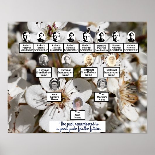 White Pear Blossom Photo Family Tree Poster (Voorkant)