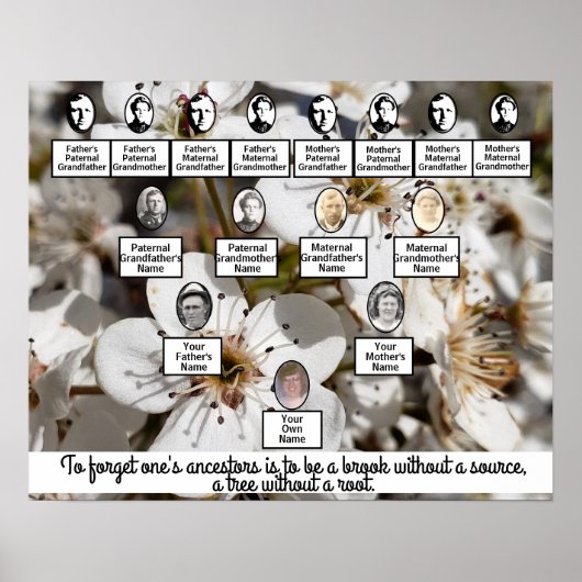 White Pear Blossom Photo Family Tree Poster (Voorkant)